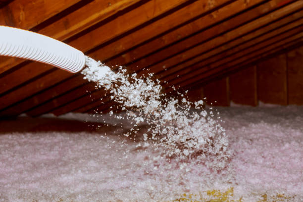 Best Local Insulation Services  in Estes Park, CO