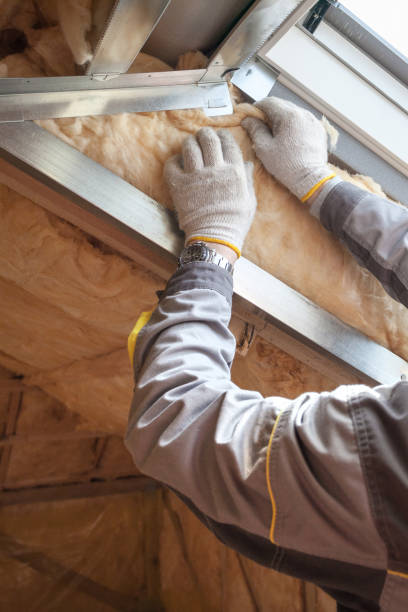 Best Residential Insulation Services  in Estes Park, CO