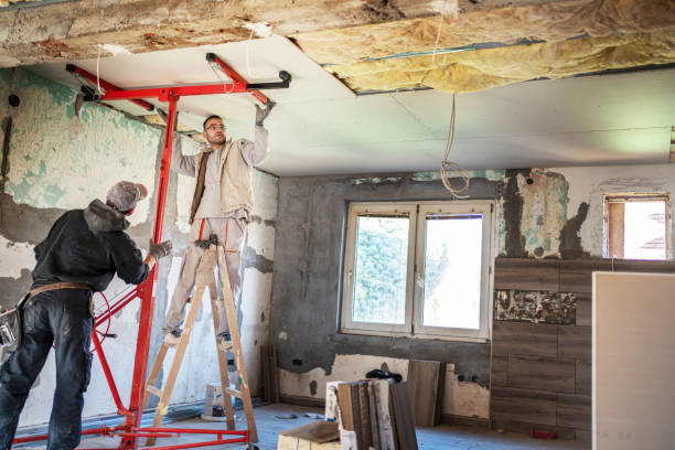 Best Insulation Replacement Services  in Estes Park, CO